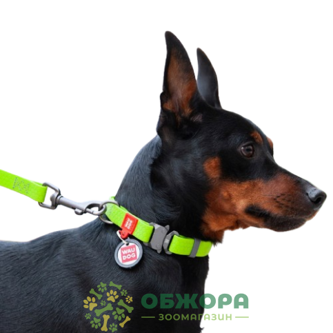 Collar WauDog Waterproof_7