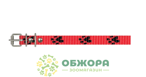 Cristel ошейник