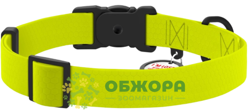 Collar WauDog Magnet_1