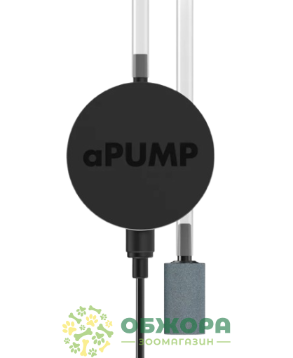 Collar Pump Max