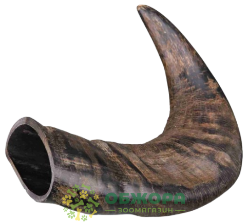 Trixie Buffalo Chewing Horn_1