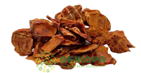 Сім'яники Бичачі
