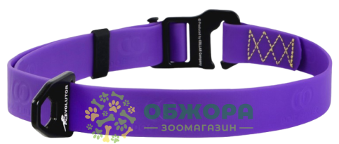 Collar Evolutor_2