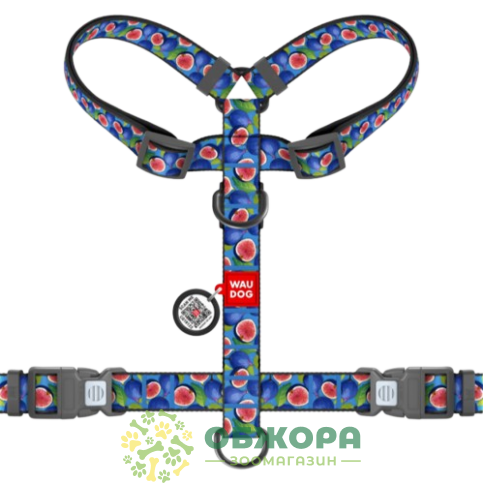 Collar WauDog Nylon