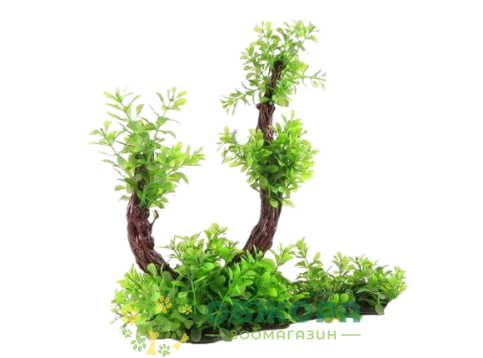 Amtra Replica Glossostigma