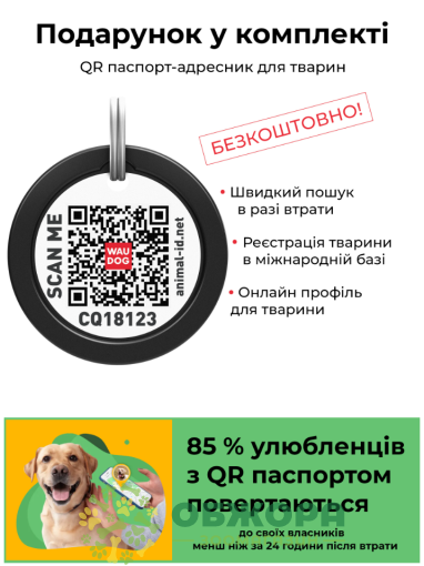 Collar WauDog Nylon_2