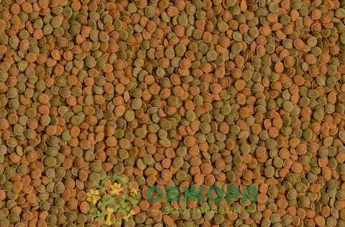 Tetra Wafer Mix_3