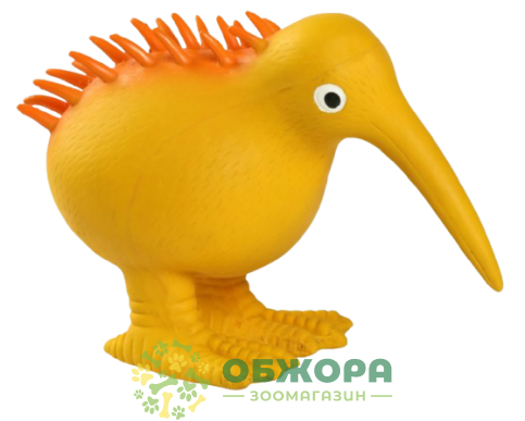 Kiwi Walke птах Ківі_1