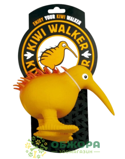 Kiwi Walke птах Ківі