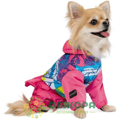 Pet Fashion_1