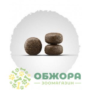 Josera SensiJunior Medium, Maxi Duck, Salmon сухий корм для юніорів та цуценят середніх та великих порід, з чутливим травленням, з качкою та лососем_3