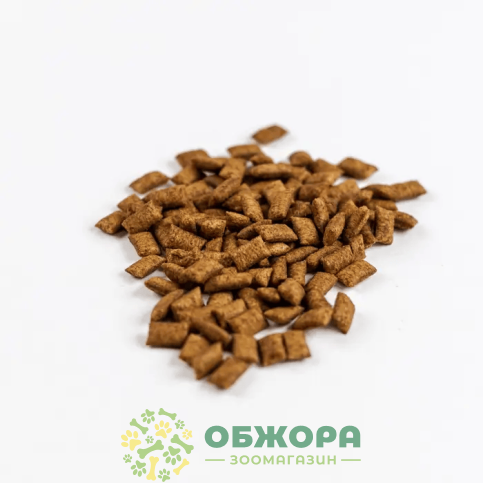 Savory Cats Snacks Pillows Dental Care_2