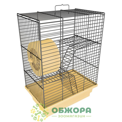 Лорі Дім