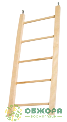 Лорі Драбинка