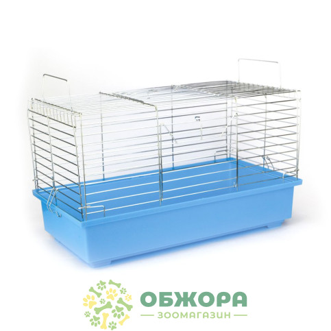 Лорі Кролик_3