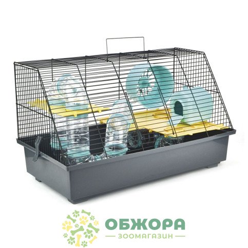 Лорі Щурик Люкс