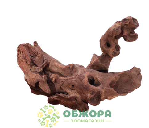 Nemo декорація
