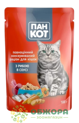 Пан Кот