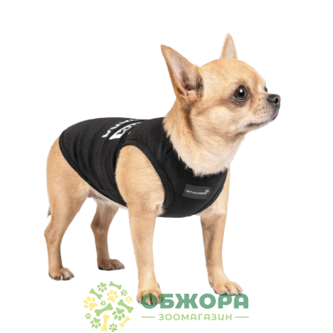 Pet Fashion борцовка_3