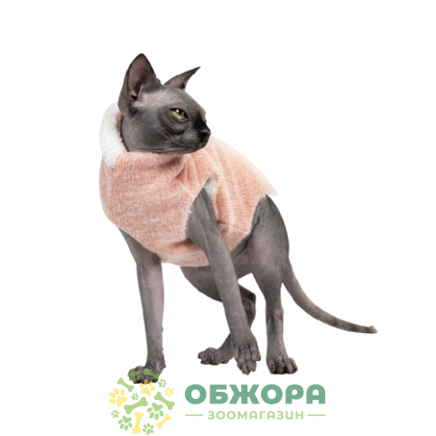 Pet Fashion Cat_1