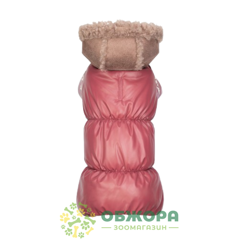 Pet Fashion Cherry