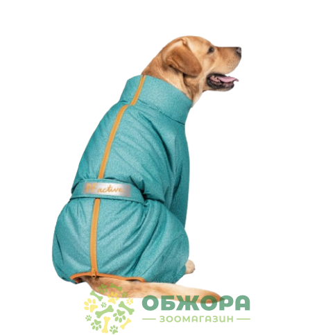 Pet Fashion Cold Active_1