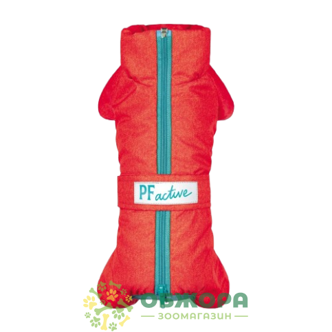 Pet Fashion Cold Active