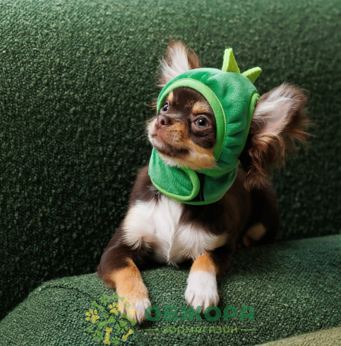 Pet Fashion Dragon капелюх для собак, дракон_2