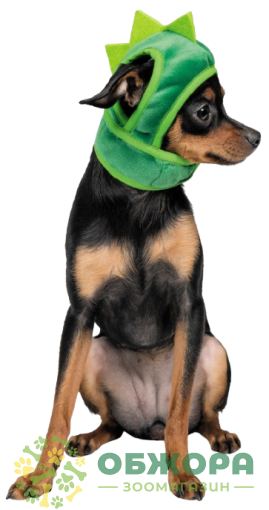 Pet Fashion Dragon капелюх для собак, дракон_1