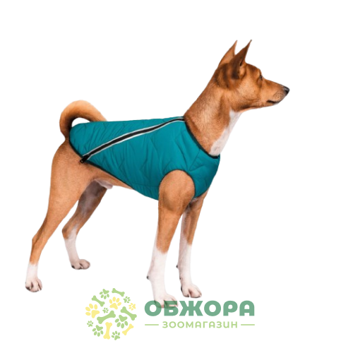 Pet Fashion E.Vest_1