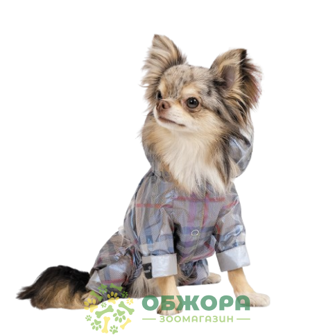 Pet Fashion Fall_1