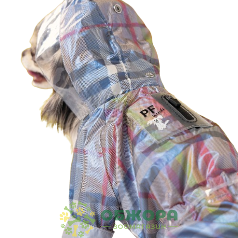 Pet Fashion Fall_2
