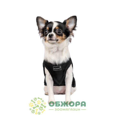 Pet Fashion FBI_3