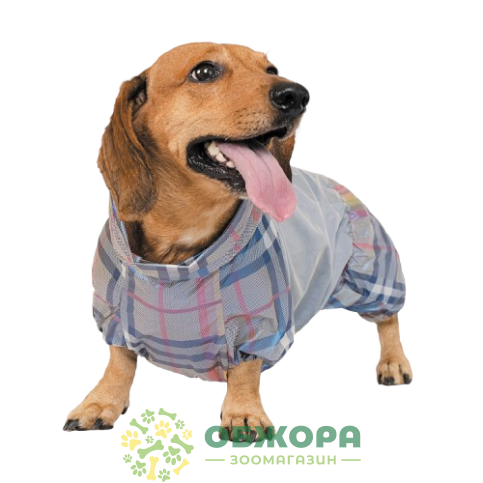 Pet Fashion Force_2