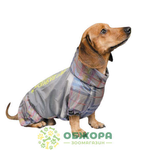 Pet Fashion Force_1