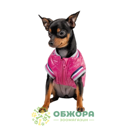 Pet Fashion Grace_1