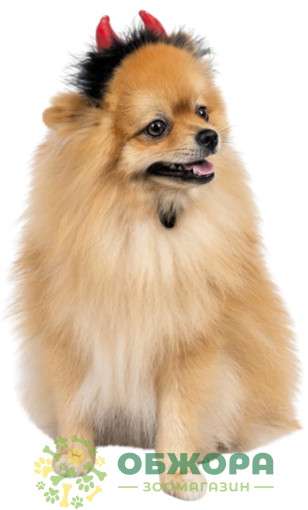 Pet Fashion Imp рожки для собак, праздничные_1