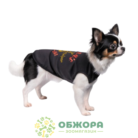 Pet Fashion Little Helper_2