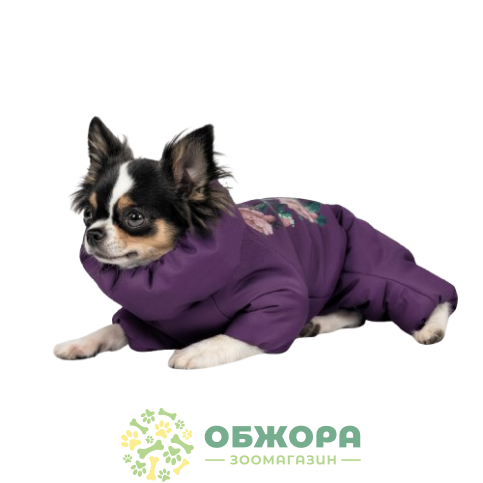 Pet Fashion Lola_2