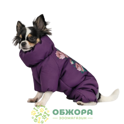 Pet Fashion Lola_1