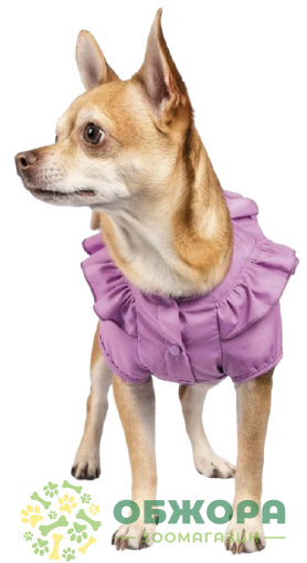 Pet Fashion Луна_1