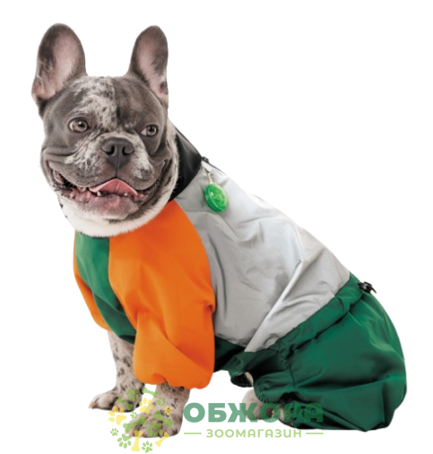 Pet Fashion Marlie дощовик для собак, з світловідбиттям_2
