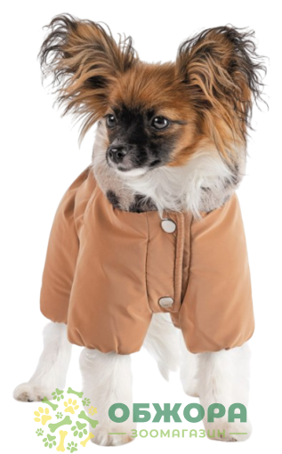 Pet Fashion Melisa комбінезон для собак, для дівчинки, карамельний_2