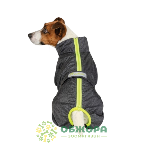 Pet Fashion Rain