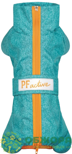 Pet Fashion RAIN дощовик для собак породи такса, для хлопчика, бірюзовий
