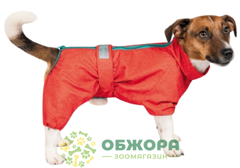 Pet Fashion Rain дождевик для собак породы такса, со светоотражением, красный_1