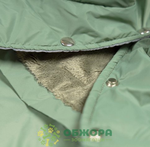 Pet Fashion Richi костюм для собак, оливковий_7