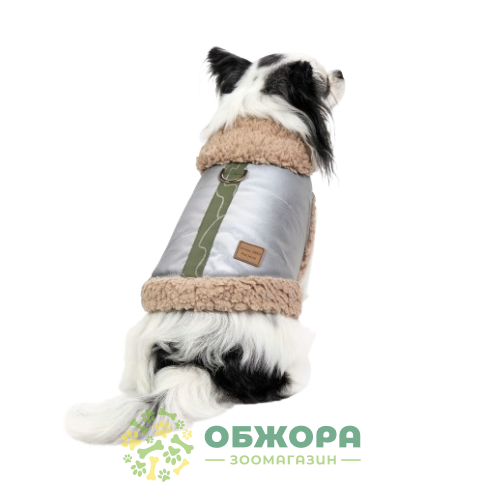 Pet Fashion Rob_2