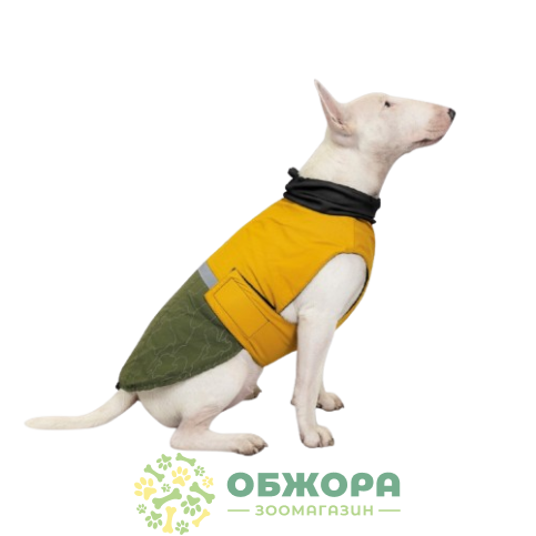 Pet Fashion Roy_5