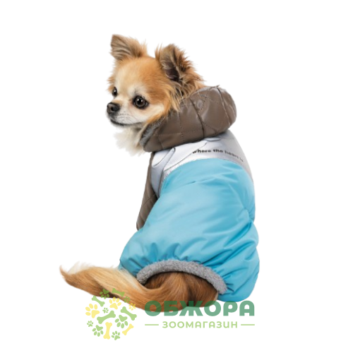 Pet Fashion Сharlie_1